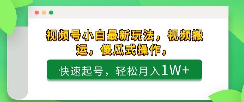 视频号小白最新玩法，视频搬运，傻瓜式操作，快速起号，轻松月入1W+-网创资源