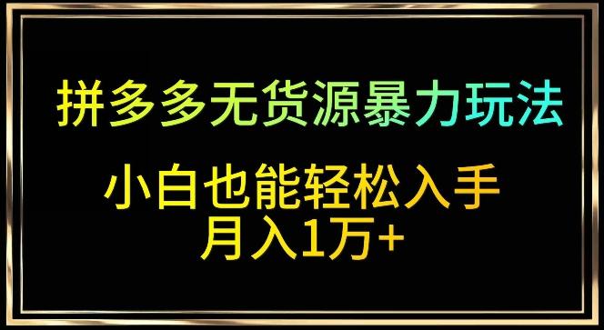 拼多多无货源暴力玩法，全程干货，小白也能轻松入手，月入1万+【揭秘】-网创资源