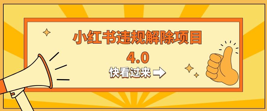 小红书违规掘金蓝海项目，日入800+（附带引流办法及解除办法）-网创资源