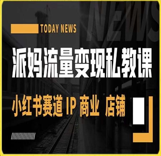 派妈流量变现私教课，小红书赛道IP  商业  店铺 -网创资源