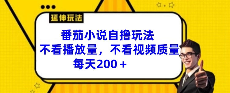 番茄小说自撸玩法，不看播放量，不看视频质量，每天200+【揭秘】-网创资源