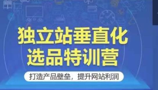 独立站垂直化选品特训营，打造产品壁垒，提升网站利润-网创资源