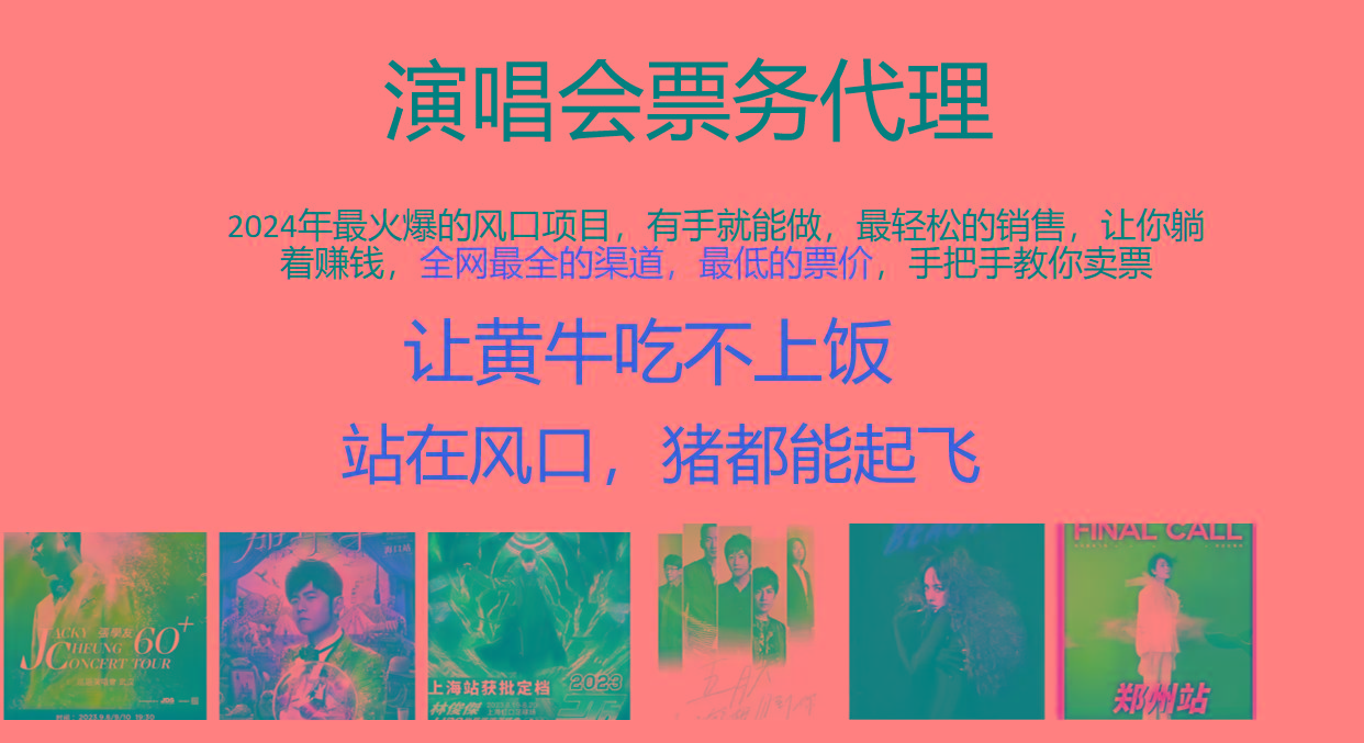 2024年最火爆风口项目，演唱会票务代理，日入2000+，一部手机就能搞定！-网创资源