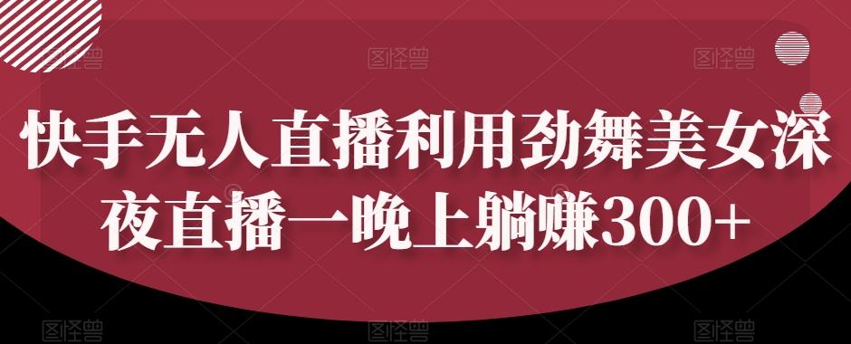 快手无人直播利用劲舞美女深夜直播一晚上躺赚300+-网创资源