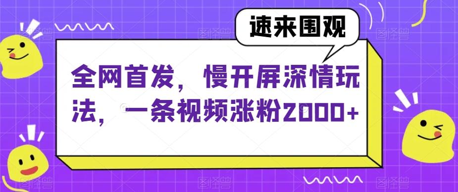 全网首发，慢开屏深情玩法，一条视频涨粉2000+【揭秘】-网创资源