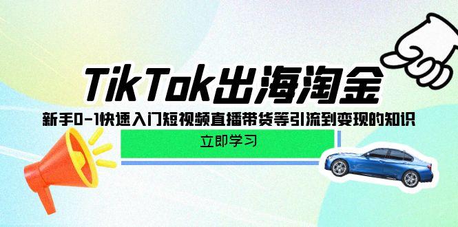 (10035期)TikTok-出海淘金，新手0-1快速入门短视频直播带货等引流到变现的知识-网创资源