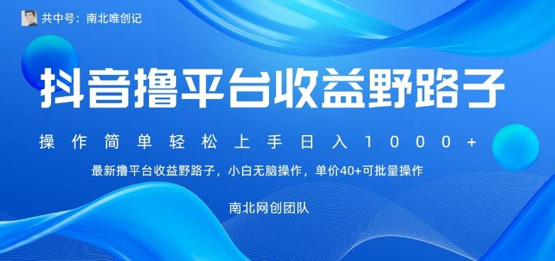 最新撸抖音平台收益野路子，操作简单，单价高，小白可无脑操作可日入1000+-网创资源
