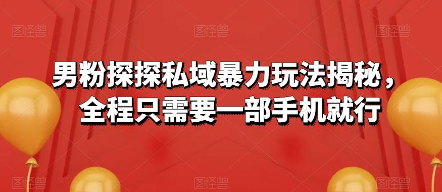 男粉探探私域暴力玩法揭秘，全程只需要一部手机就行-网创资源
