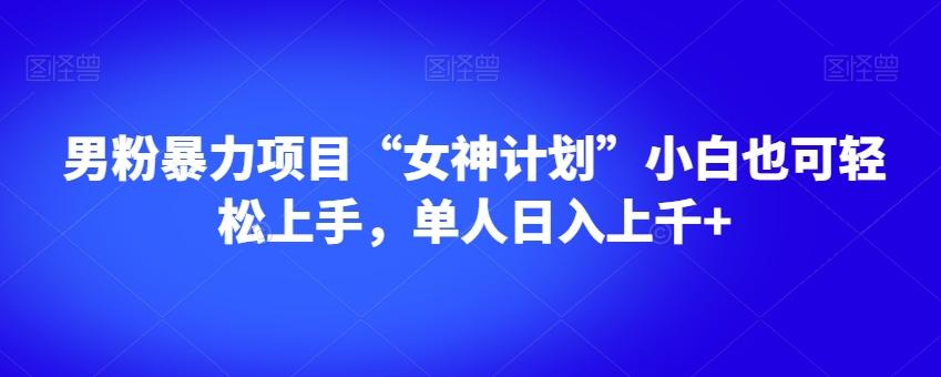 男粉暴力项目“女神计划”小白也可轻松上手，单人日入上千+【揭秘】-网创资源
