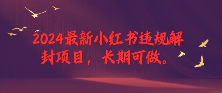 2024最新小红书违规解封项目，长期可做，一个可以做到退休的项目【揭秘】-网创资源