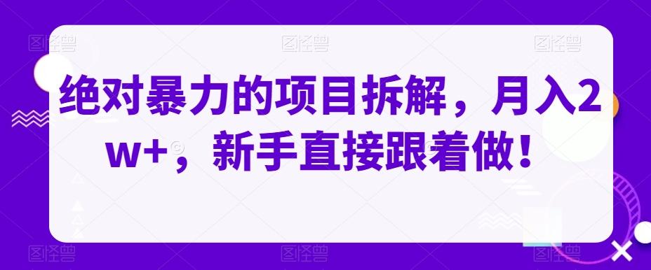 绝对暴力的项目拆解，月入2w+，新手直接跟着做！-网创资源