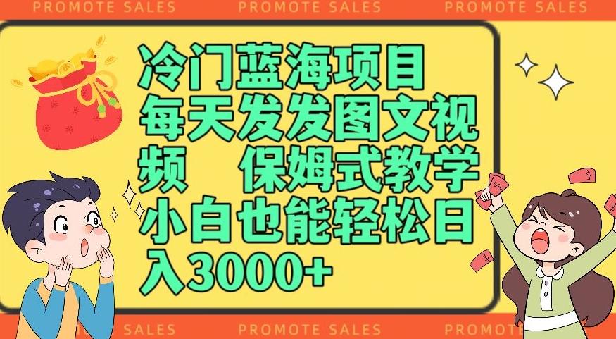冷门蓝海项目，每天发发图文视频，保姆式教学，小白也能轻松日入3000+-网创资源