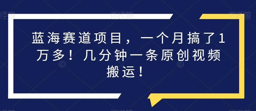 蓝海赛道项目，一个月搞了1万多！几分钟一条原创视频搬运！-网创资源