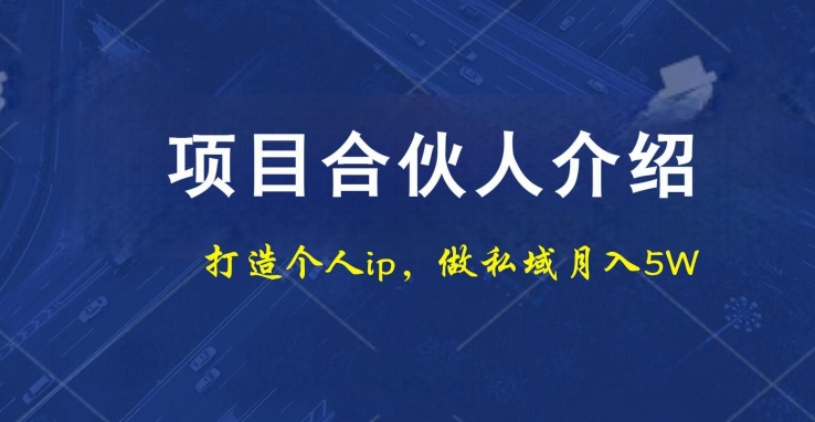 项目合伙人项目，打造个人IP，做私域月入5W，小白勿扰-网创资源
