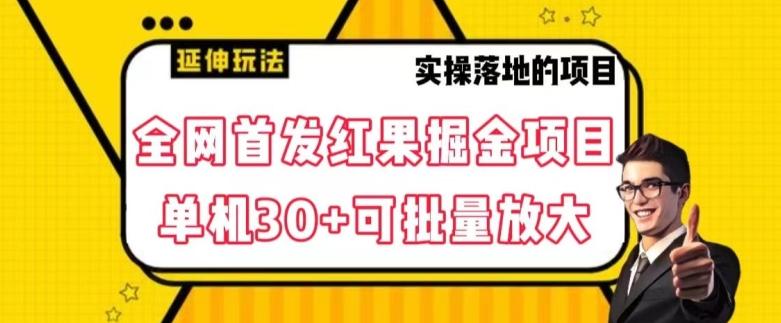 全网首发红果免费短剧掘金项目，单机30+可批量放大【揭秘】-网创资源