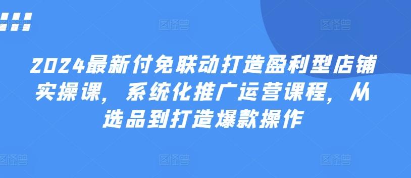 2024最新付免联动打造盈利型店铺实操课，​系统化推广运营课程，从选品到打造爆款操作-网创资源