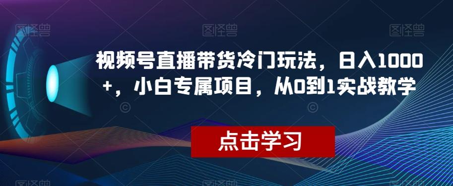 视频号直播带货冷门玩法，日入1000+，小白专属项目，从0到1实战教学【揭秘】-网创资源