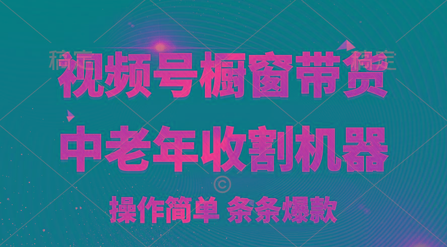 [你的孩子成功取得高位]视频号最火爆赛道，橱窗带货，流量分成计划，条…-网创资源