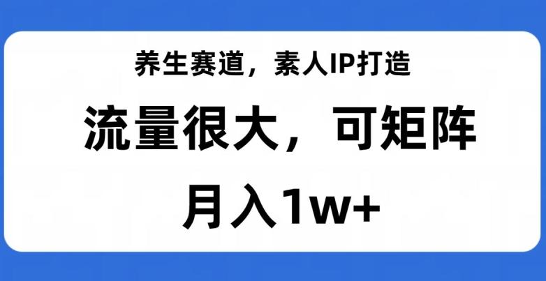 养生赛道，素人IP打造，流量很大，可矩阵，月入1w+【揭秘】-网创资源
