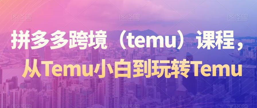 拼多多跨境（temu）课程，从Temu小白到玩转Temu-网创资源