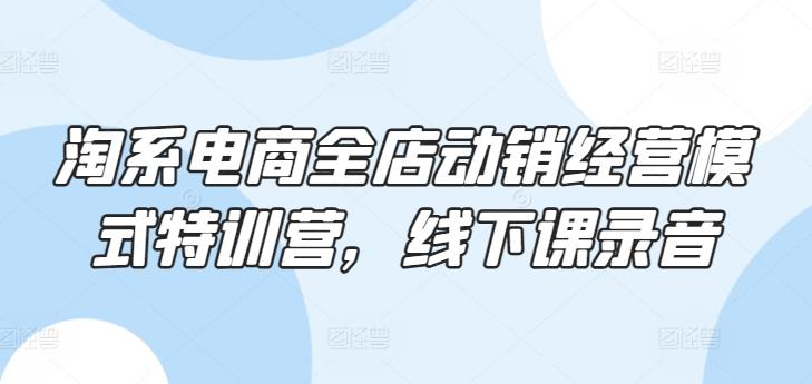 淘系电商全店动销经营模式特训营，线下课录音-网创资源