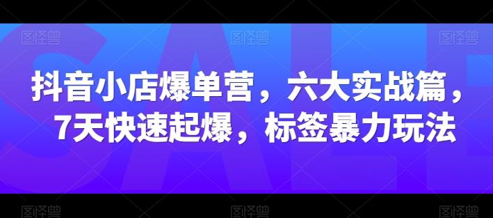 抖音小店爆单营，六大实战篇，7天快速起爆，标签暴力玩法-网创资源