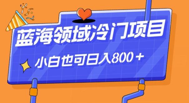 蓝海领域冷门赛道，一单39.9，日入800＋-网创资源