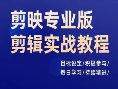 剪映专业版剪辑实战教程，目标设定/积极参与/每日学习/持续精进-网创资源