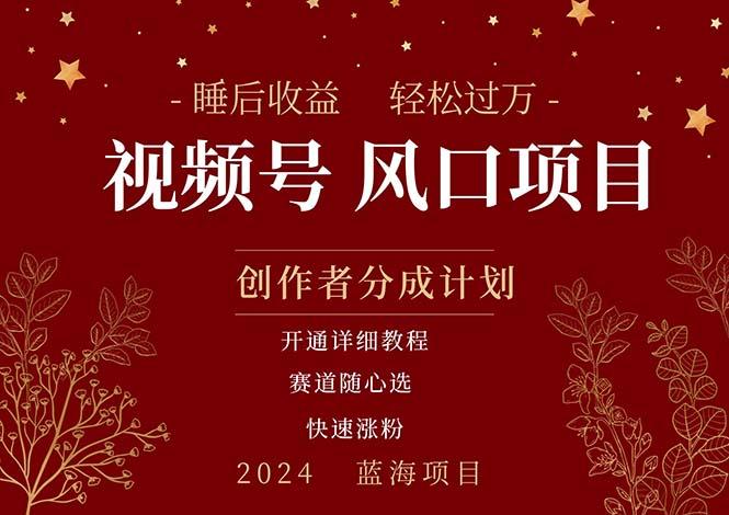 拥有睡眠收益的微信视频号大风口项目，轻松月入过万+，多赛道选择，可…-网创资源