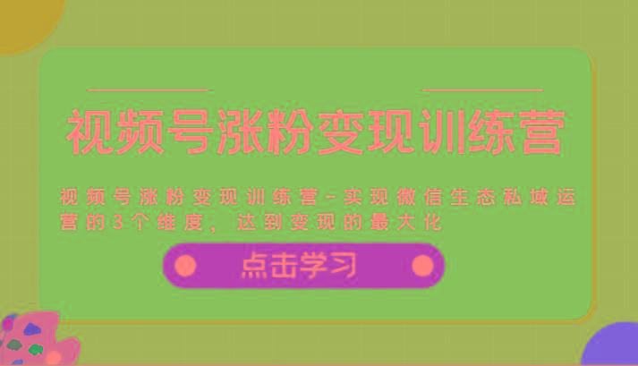 视频号涨粉变现训练营-实现微信生态私域运营的3个维度，达到变现的最大化-网创资源