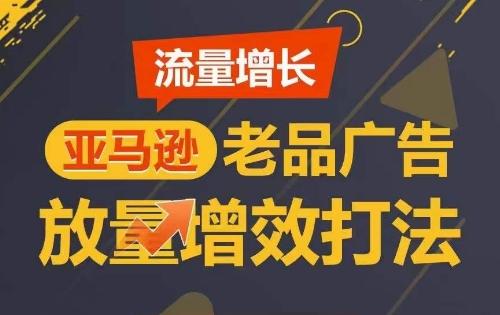 流量增长 亚马逊老品广告放量增效打法，短期内广告销量翻倍-网创资源