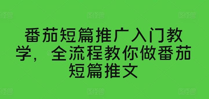 番茄短篇推广入门教学，全流程教你做番茄短篇推文-网创资源