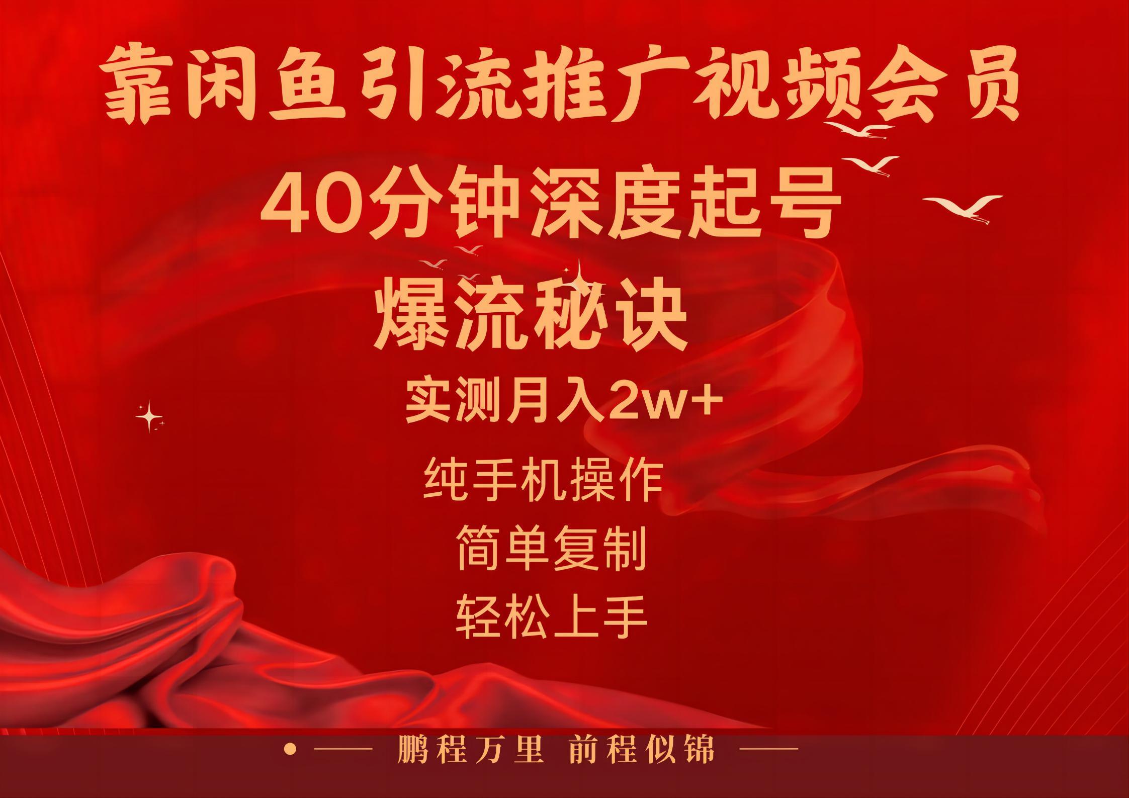 闲鱼暴力引流推广视频会员，能做到日入2W+，操作简单-网创资源