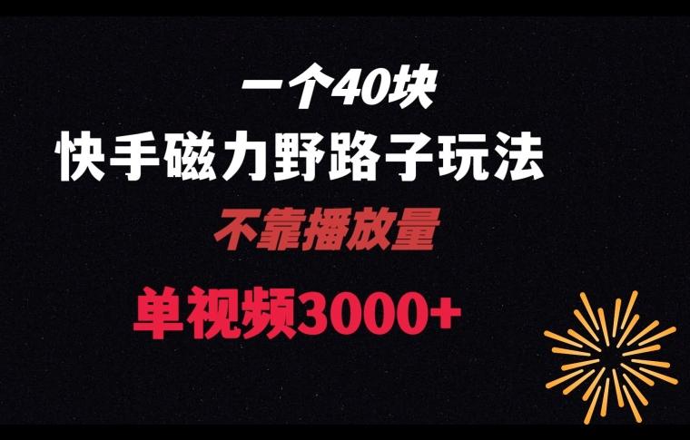 一个40块，快手联合美团磁力新玩法，无视机制野路子玩法，单视频收益4位数【揭秘】-网创资源
