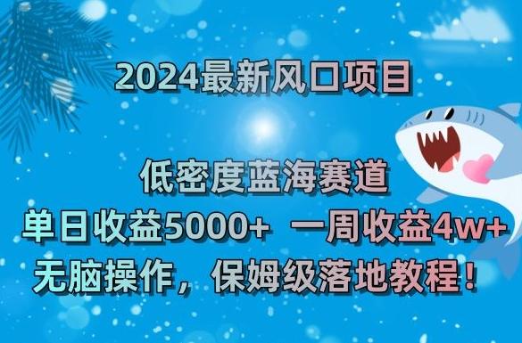 2024最新风口项目，低密度蓝海赛道，单日收益5000+，一周收益4w+！【揭秘】-网创资源