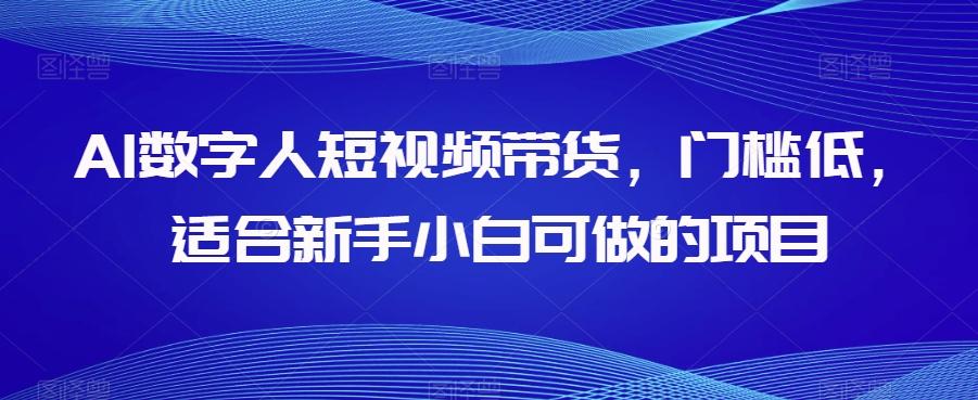 AI数字人短视频带货，门槛低，适合新手小白可做的项目-网创资源