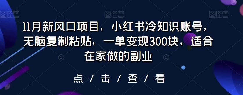 11月新风口项目，小红书冷知识账号，无脑复制粘贴，一单变现300块，适合在家做的副业-网创资源