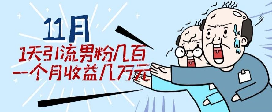 11月最新每天引流男粉300+一个月收益几万元-网创资源
