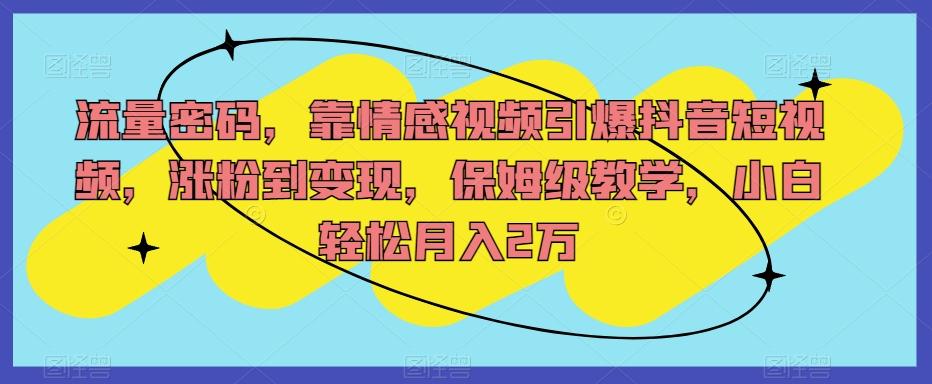 流量密码，靠情感视频引爆抖音短视频，涨粉到变现，保姆级教学，小白轻松月入2万【揭秘】-网创资源
