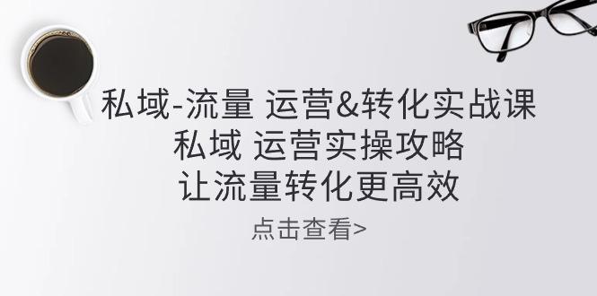 私域-流量 运营&转化实操课：私域 运营实操攻略 让流量转化更高效-网创资源