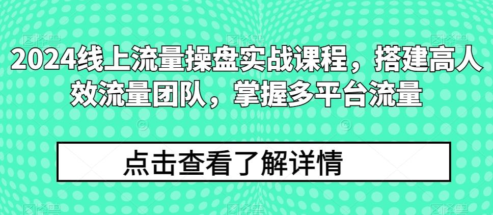 2024线上流量操盘实战课程，搭建高人效流量团队，掌握多平台流量-网创资源