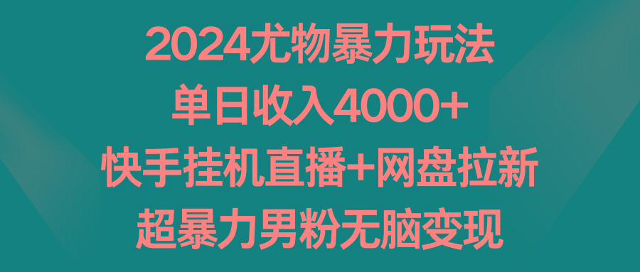 2024尤物暴力玩法 单日收入4000+快手挂机直播+网盘拉新 超暴力男粉无脑变现-网创资源