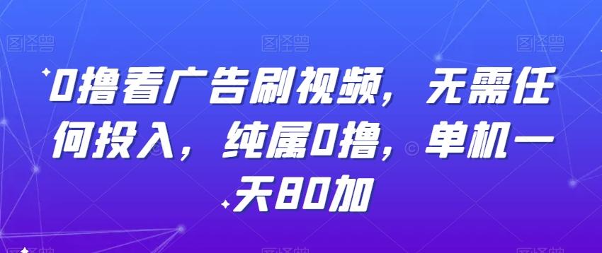 0撸看广告刷视频，无需任何投入，纯属0撸，单机一天80加-网创资源