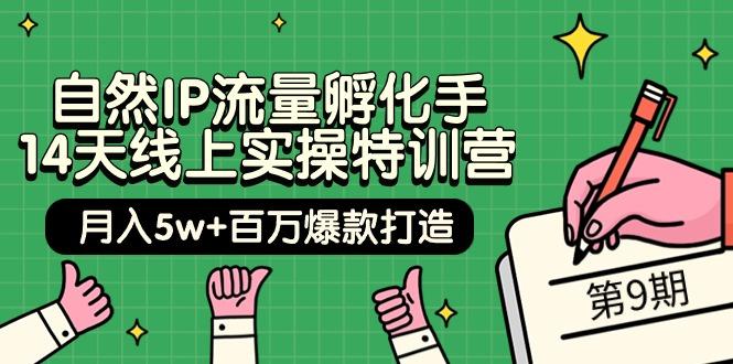 (9881期)自然IP流量孵化手 14天线上实操特训营【第9期】月入5w+百万爆款打造 (74节)-网创资源