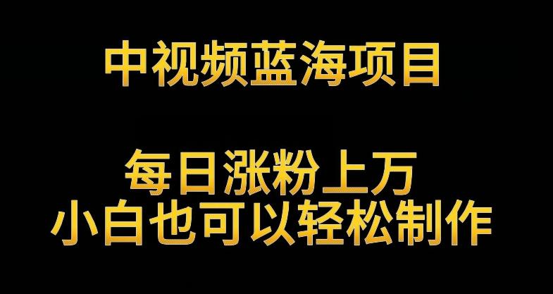 中视频蓝海项目，解读英雄人物生平，每日涨粉上万，小白也可以轻松制作，月入过万不是梦【揭秘】-网创资源