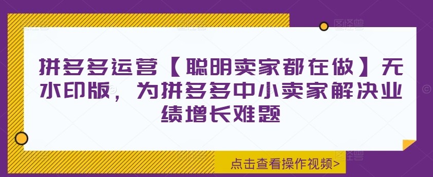 拼多多运营【聪明卖家都在做】无水印版，为拼多多中小卖家解决业绩增长难题-网创资源