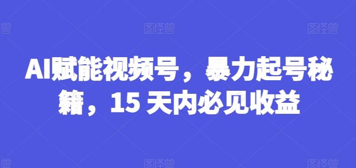 AI赋能视频号，暴力起号秘籍，15 天内必见收益【揭秘】-网创资源