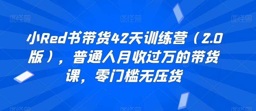小Red书带货42天训练营(2.0版)，普通人月收过万的带货课，零门槛无压货-网创资源