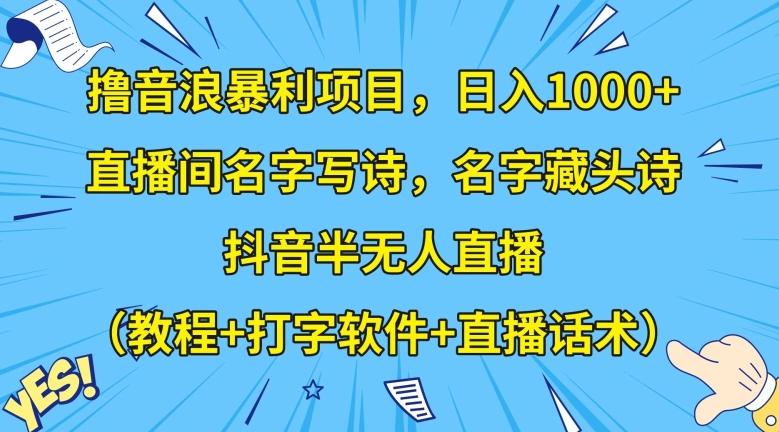 撸音浪暴利项目，日入1000+，直播间名字写诗，名字藏头诗，抖音半无人直播（教程+打字软件+直播话术）【揭秘】-网创资源