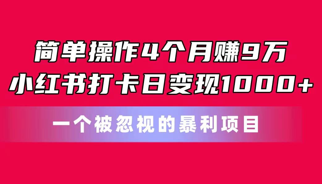 简单操作4个月赚9万！小红书打卡日变现1000+！一个被忽视的暴力项目-网创资源